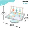 Bright Starts Winnie the Pooh Tummy Time Activity Gym (0 Months) - Baby Gym, Baby Mat, Play Gym, Blue, 13124