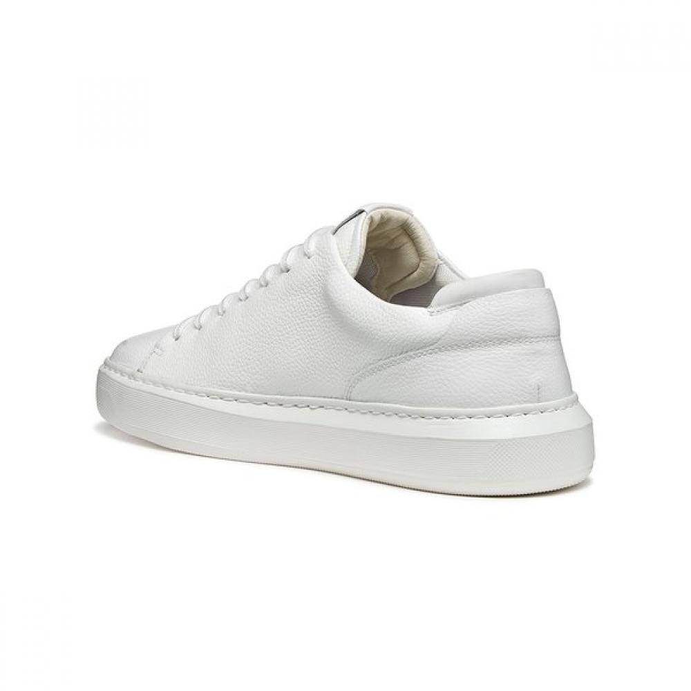 Geox Men S Comfort Daily SneakerS White 9gx5wa6S9S