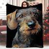 1 Soft Dachshund Blanket - Realistic Wirehaired Dachshund Portrait with Expressive Eyes, All-Season Comfortable Bed Blanket, Sofa Throw, or Travel Com