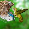 New Convenient, Reliable, and Efficient Small and Medium Automatic Acrylic Parakeet Bird Feeders - Essential Hassle-Free Parrot