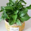 Creative Woven Flower Pot Multi-Functional Plant Basket Imitation Rattan Flower Pot Woven Flower Basket Home Decor
