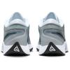 Nike Giannis Zoom Freak 6 Tb Szary Wilczy FV1292-001