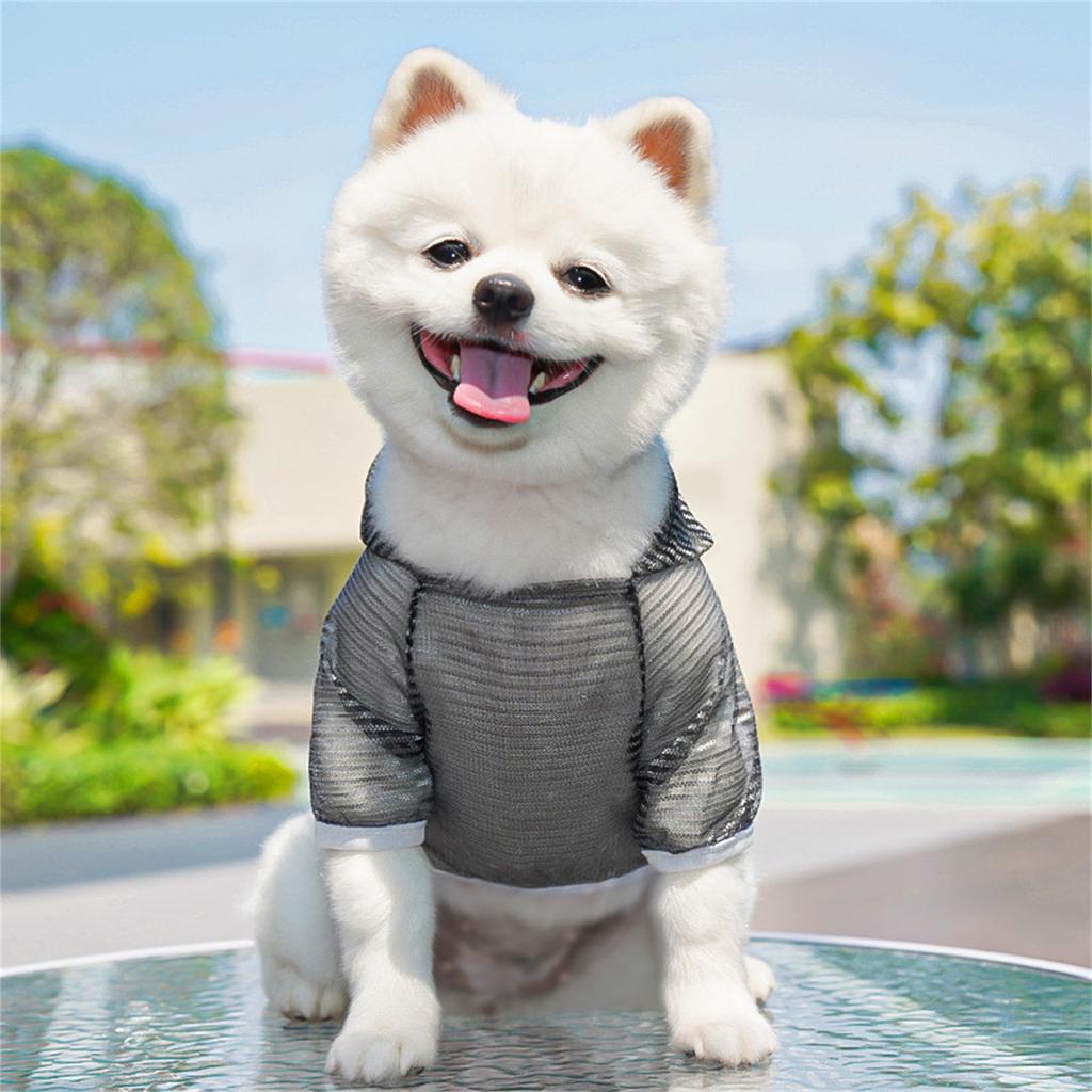 Spring And Summer Pet Clothes For Dogs And Cats, Vests