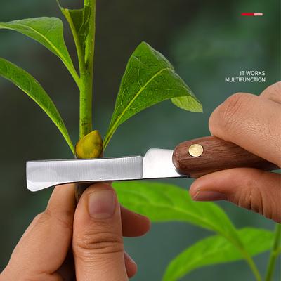 Veredelungswerkzeug, faltbares Veredelungsmesser, professionelles Gartenveredelungsmesser, Edelstahl, Holzgriff