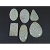 222Cts. Natural Fossil Coral Mix Cabochon Loose Gemstone 6Pcs Lot C-1900