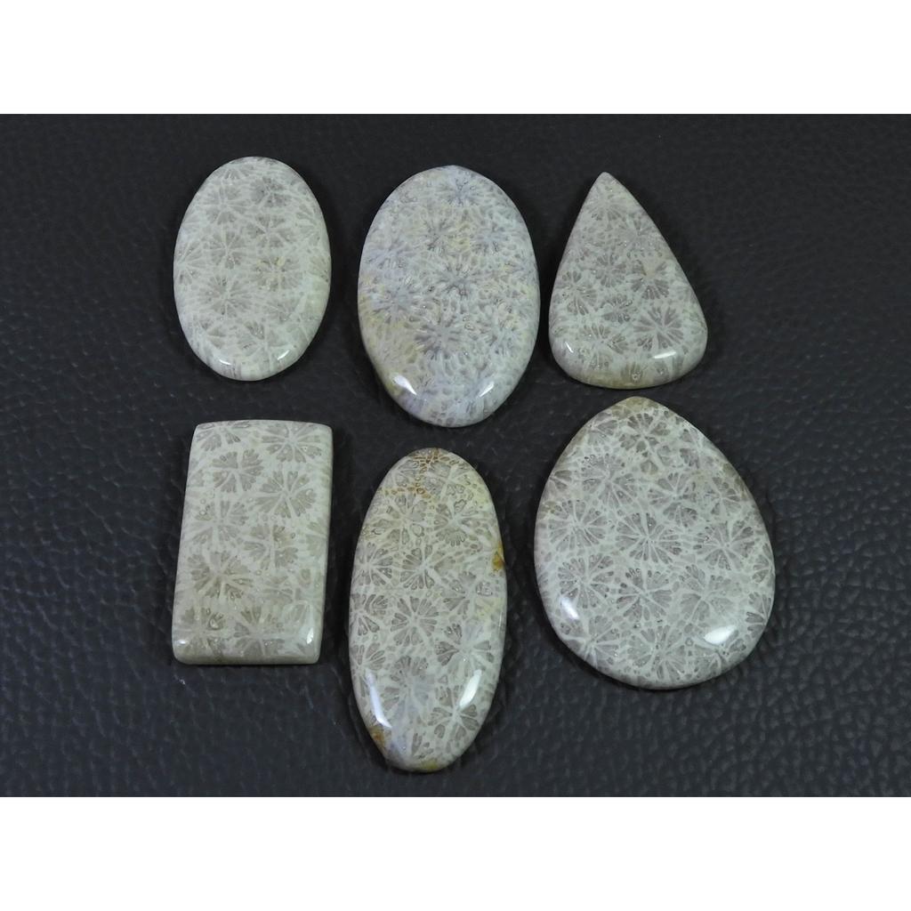 222Cts. Natural Fossil Coral Mix Cabochon Loose Gemstone 6Pcs Lot C-1900