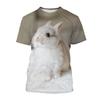 Animal Rabbit 3D Printed T-Shirts Men Women Casual Fashion Streetwear Oversized Short Sleeve T Shirt Male Tees Tops Man Clothing