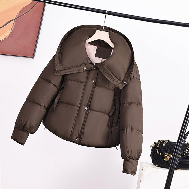 Cotton clothes women's winter new loose bread clothes cotton clothes female students fashion streamers solid color down cotton clothes outside