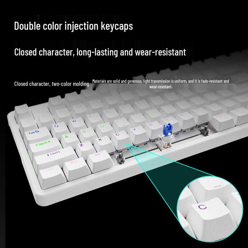 Rapoo V500PRO-87 87-Key Wired Backlit Mechanical Gaming Keyboard