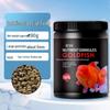 BESSN Schwimmende Goldfischpellets für Ranchu & Löwenkopffische