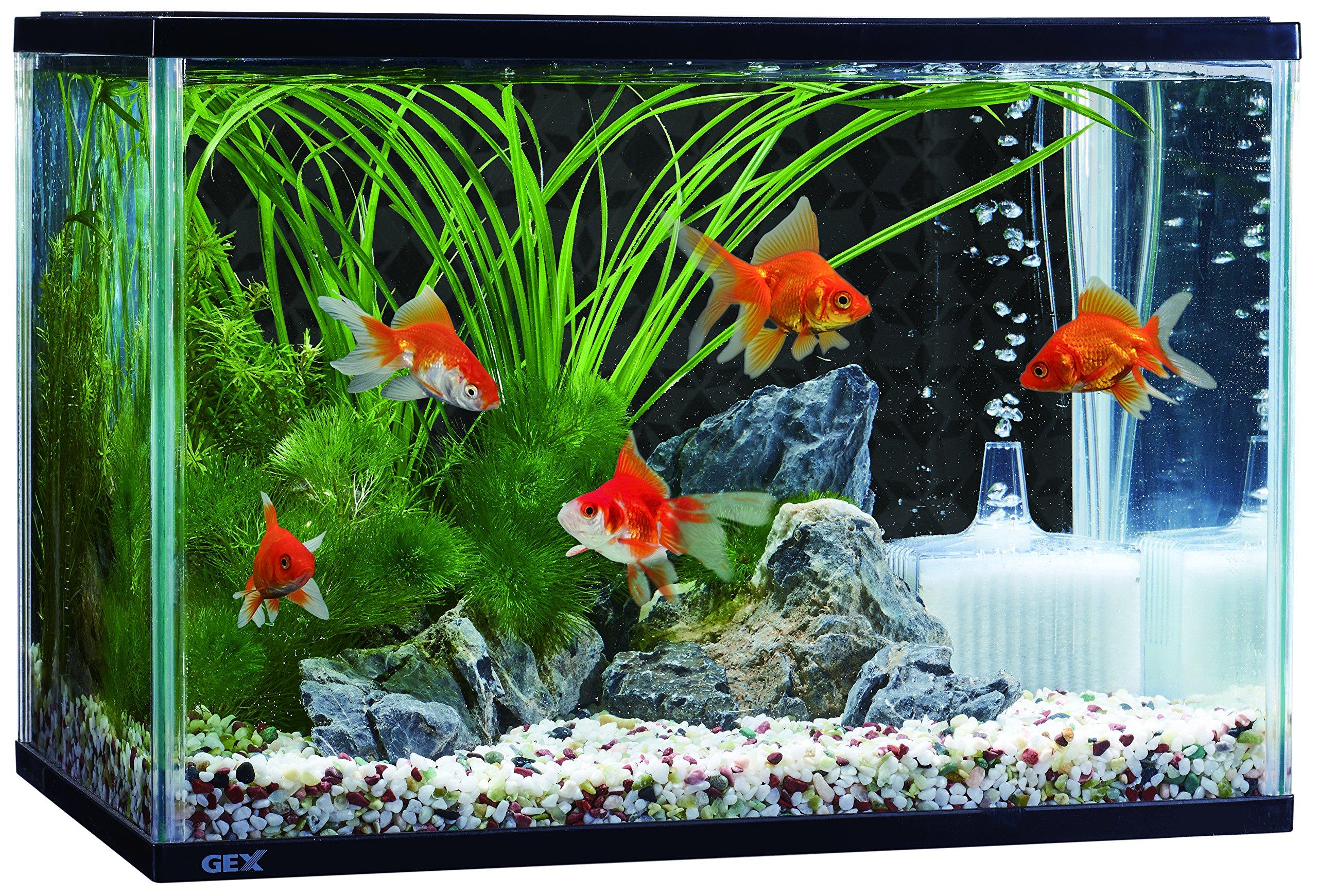 

GEX Goldfish Room Japanese Color L