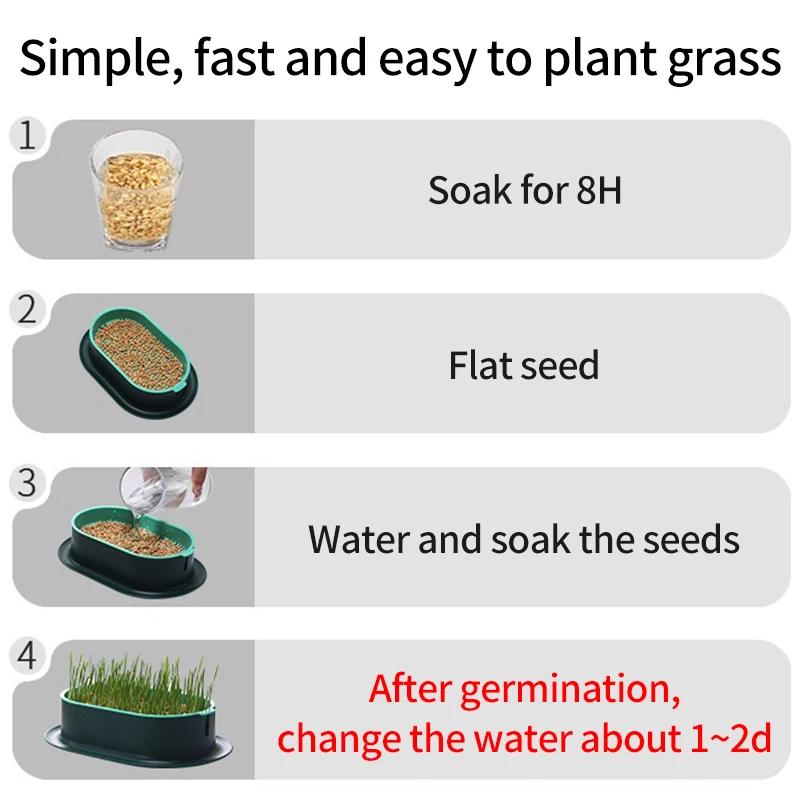 Iarbă pentru Pisici de Companie Digestie Tăviță pentru Germinare Cutie pentru Plantat Menta Pisicii Ghiveci pentru Iarbă de Pisici Bol Hidroponic de Seră Vas pentru Răsaduri Cutie pentru Germinare