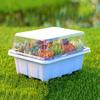 3/6pcs-Plastic Seedling Box With 12 Holes, Seedling Box With Sowing And Seedling Hole Tray