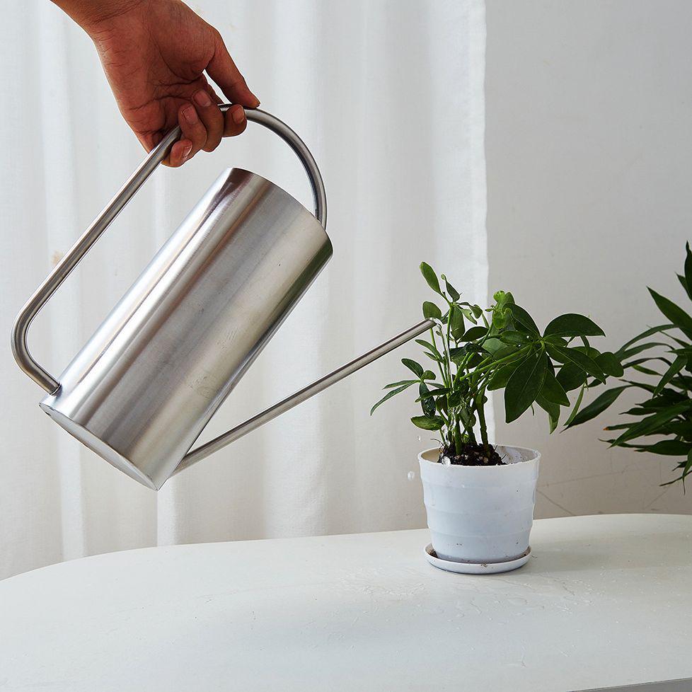 Stainless Steel Long Spout Watering Can, Large Capacity, 1.5L Garden and Household Use.