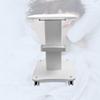 Beauty Salon Mobile Trolley for Nail Art & Microblading - Anti-Aging Instrument Tray & Portable Stand