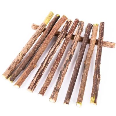 Cat Oral Cleaning Stick Products for Cats Natural Herbal Cat Chews Kittens Goods Kitten Gift Pussycat Toyss Pet Supplies Catnip