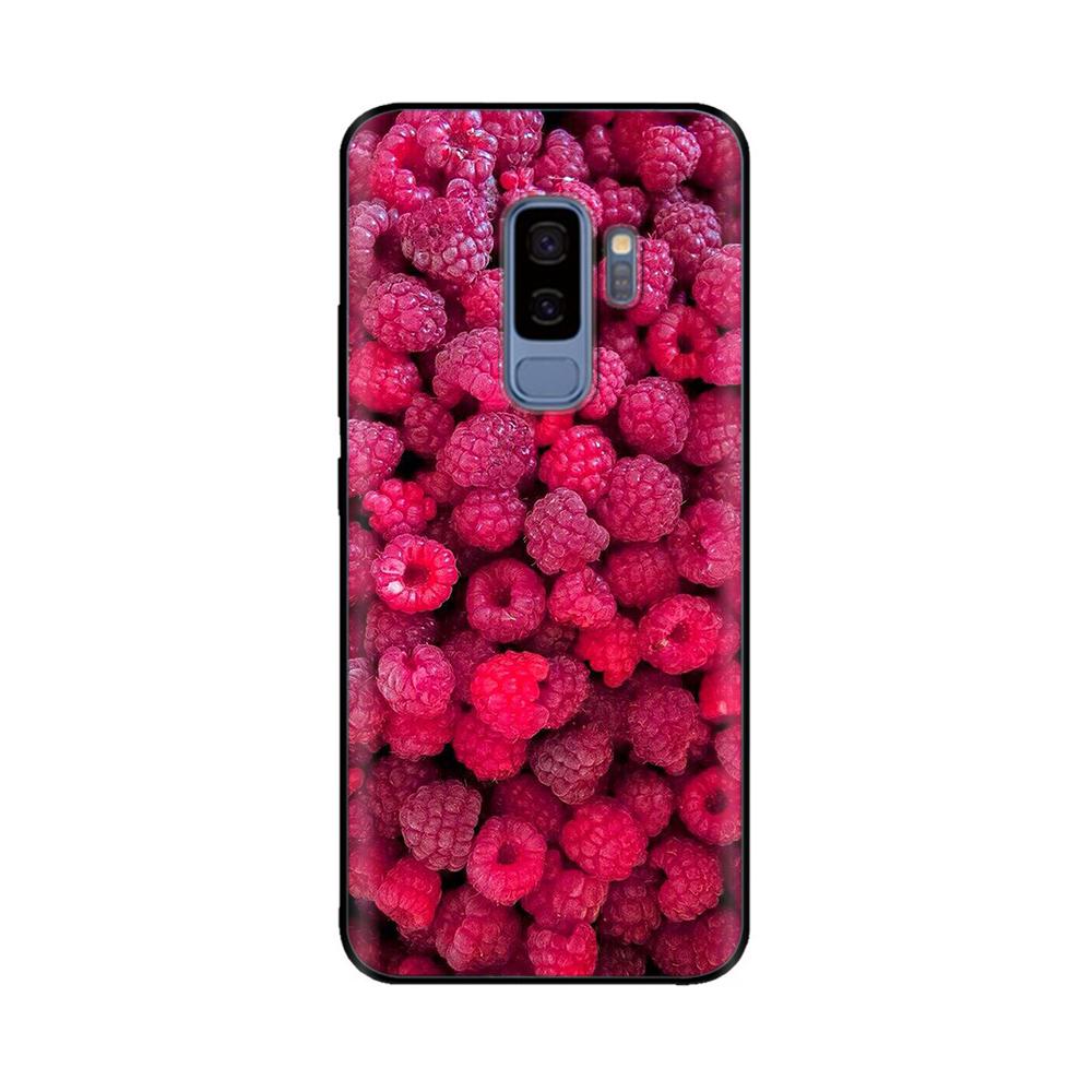 For Samsung Galaxy S9 Case Mobile Phone TPU Silicone Protective Cover for Samsung S9 Plus S9+ S 9 Back Cover Paintted Bumper