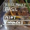 10PCS Quality Acrylic Plant Label Gardening Decoration Transparent Herb Sign Eco-Friendly DIY Plant Tag Garden