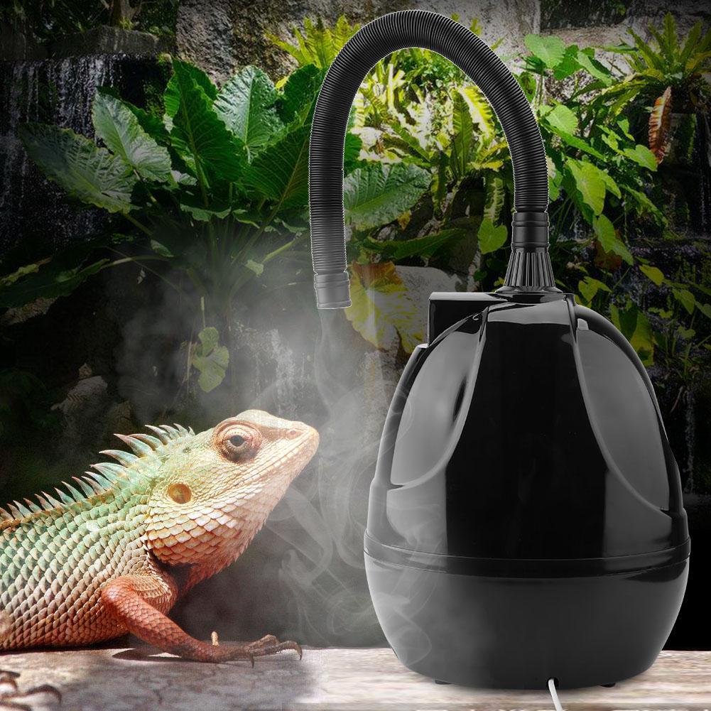 iguana humidifier