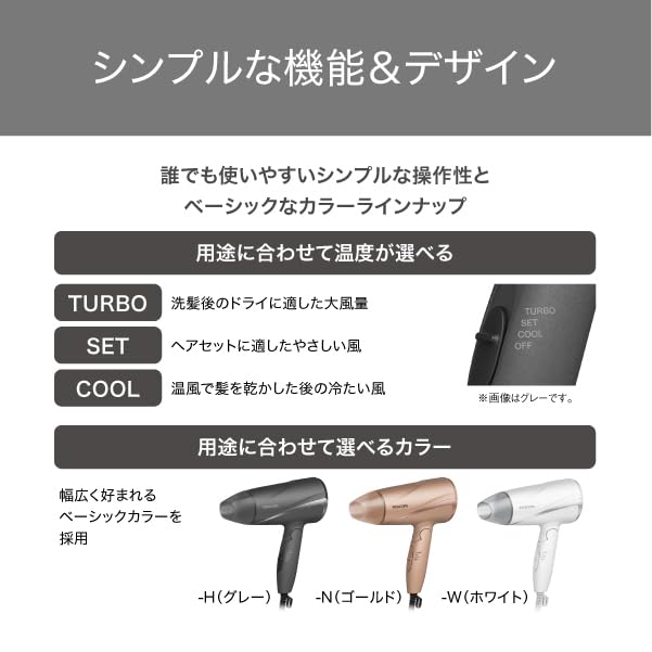 Tescom Protect Ion Hair Dryer, Foldable, High Airflow, Lightweight, Cold and Warm Air, Gold, TD360A-N