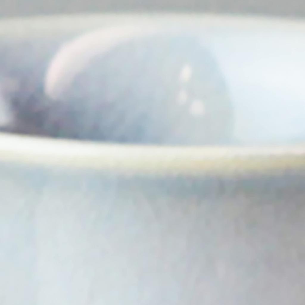 Japanese Tosai Tsubakihide Kiln Buds Free Cup Pair