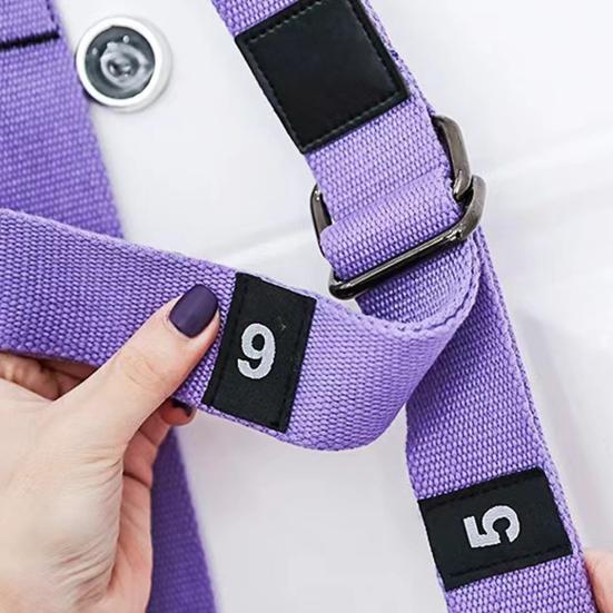 Aerial Yoga Stretching Strap Leg Waist Back Stretch Band Backbend Training Rope Yoga Door Swing for Fitness Gymnastics Dance Aerial Ballet