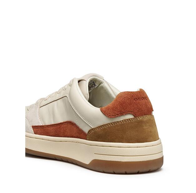 Geox U Sedral Court Sneakers