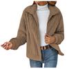 Women's Fashionable  And Winter Plush Cardigan With Zipper Lapel Short Jacket
