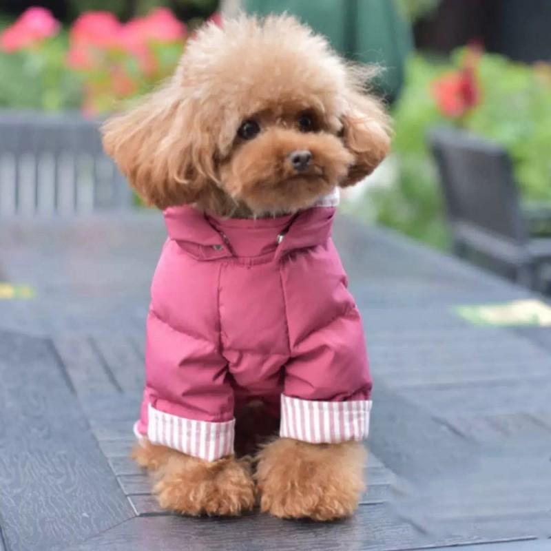 Warm Winter Pet Dog Cotton Coat Small Breeds Teddy Bichon S To XXL