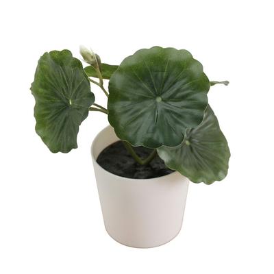 Green Artificial Grass Bonsai Greenery Photo Props Desktop Ornament White Flowerpot Waterproof Simulation Plant Potted Balcony