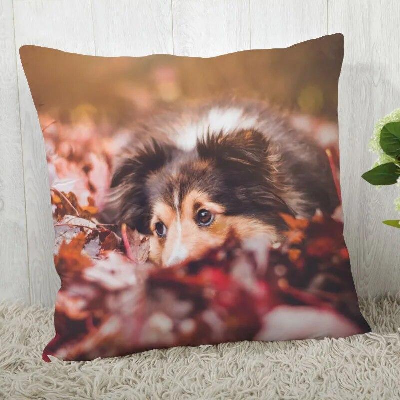 Pillowcase Border Collie  Modern Home Living Room Decor