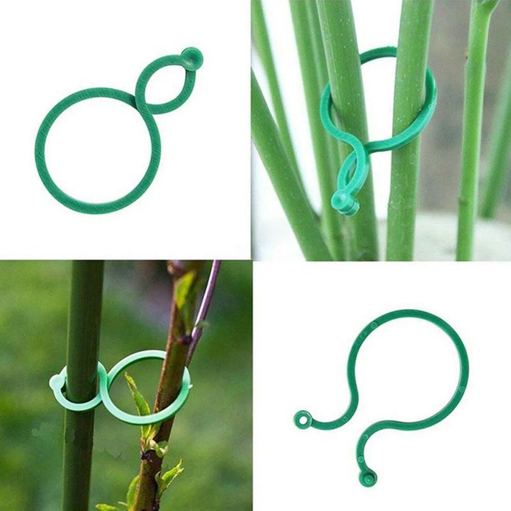 50Pcs Plant Holder Vine Strapping Clips Bundled Buckle Ring Tomato Plant Stand Bracket Tools Household Garden Accessories