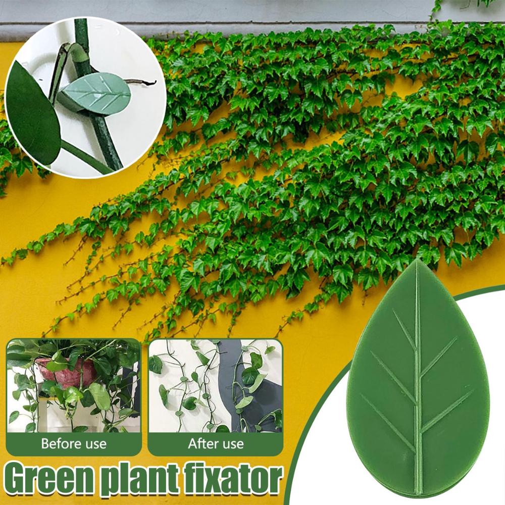 

Self Adhesive Supporting Invisible Vines Traction Wall Fixture Cable Clamp Plant Climbing Clips