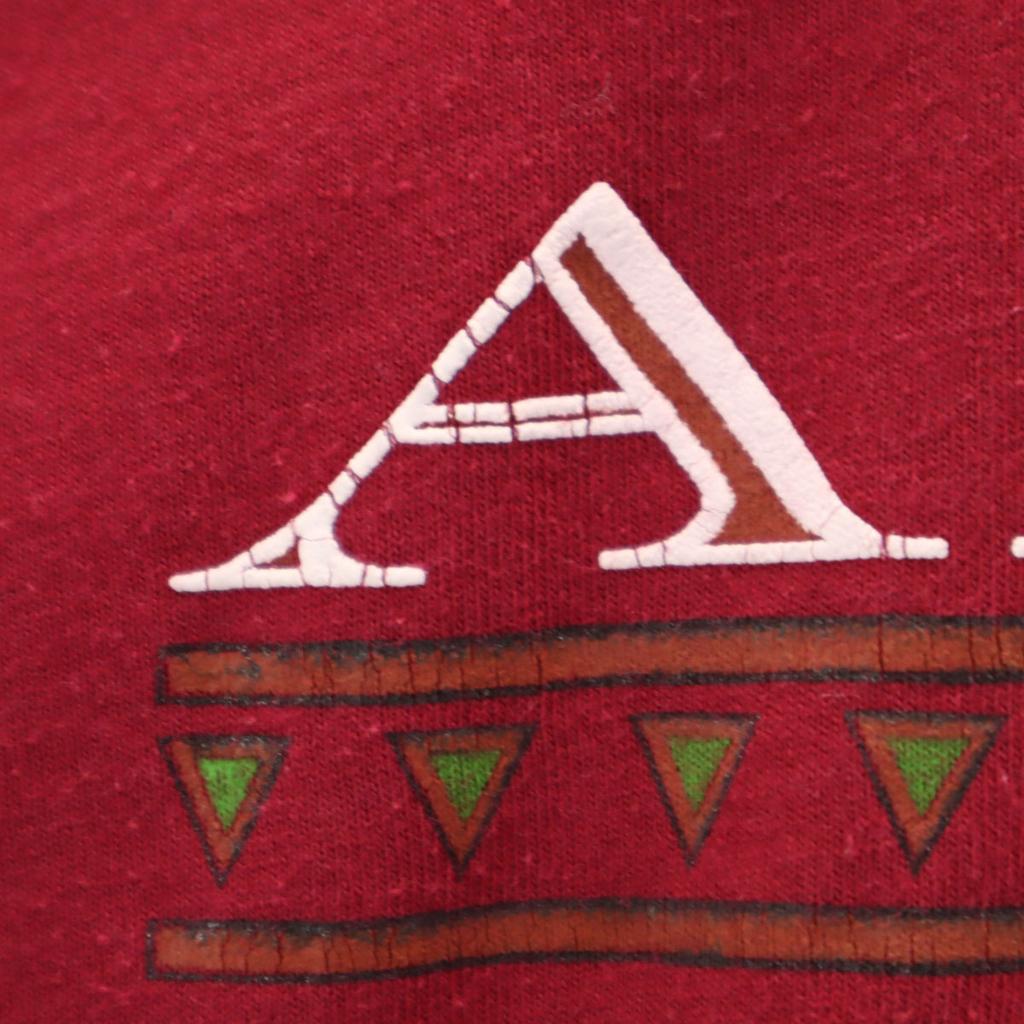 Lata 90. Wyprodukowany w USA Stary T-shirt z krótkim rękawem z czaszką bizona rdzennych Amerykanów ARIZONA Męski Używany