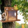 Hanging Hamster Feeding Box Durable Pet Food Dispenser Squirrel Feeder  Hummingbird