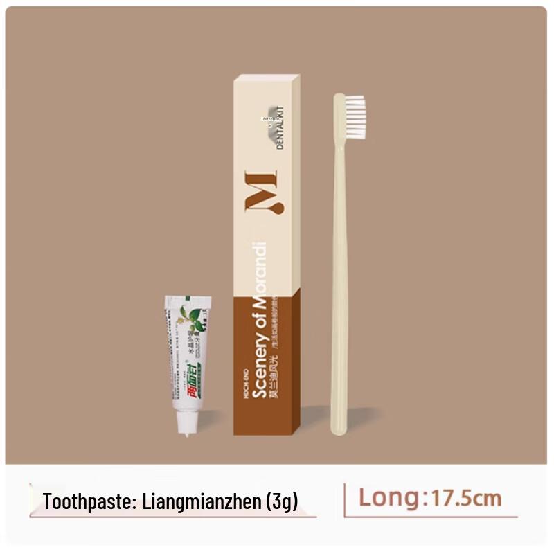 Disposable Hotel Toothbrush & Toothpaste Set