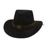 Suede Western Cowboy Hat New Feature Pentagonal British Retro European and American Outdoor Cycling Sunshade Jazz Top Hat