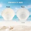 Punching hole Small Sea Shells For Crafts Crafting Shell Bulk Real Seashells Natural Mother Of Pearl Shell Pendant Sector-Shaped