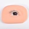 Eyelash Practice Module, a Specialized Simulation Practice Tool for Beginner Eyelash Technicians, Including Eyelash and Eyebrow Tattoo Practice Film