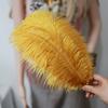 Ostrich Feathers 30-35Cm Wedding Road Guide Table Flower Ornament Ostrich Hair Decorative Clothing Accessories Diy