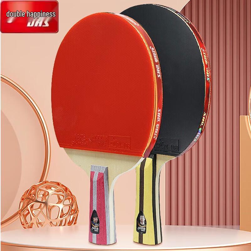 DHS 4-Star Table Tennis Racket