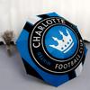 Charlotte Football Club, Minted 2022- Automatic Opening and Closing, 8-rib Structure Portable Umbrella, Suitable for Men and Women in All Se