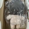 [USED] Stray Kids Master Plush Toy Seungmin