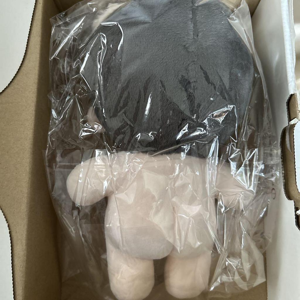 [USED] Stray Kids Master Plush Toy Seungmin