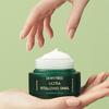 [DEWYTREE] Ultra Vitalizing Snail Cream 80ml