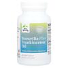 Boswellia Plus Frankincense Oil, 60 Softgels