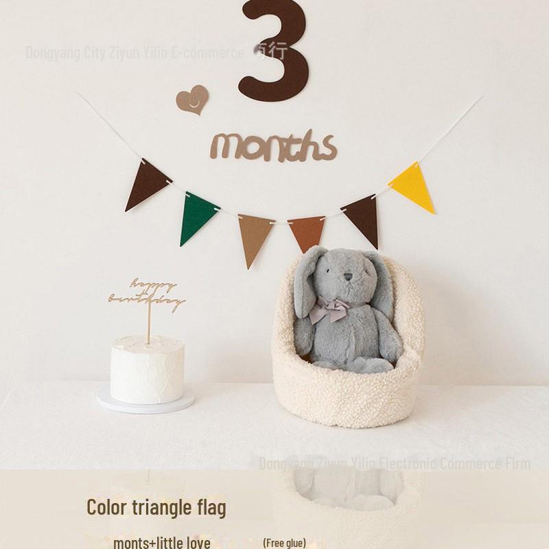 Minimalist Baby Photo Props for Milestones: Newborn, 100 Days, and First Birthday
