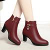 Winter New Short Boots Women's High Heels Boots Women's Cotton Shoes Versatile Middle Aged Women's Boots
