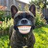 Adjustable Smiling Teeth Pet Muzzle Anti-Bite Grinning Dog Mask Dog Photo Mouth Cover  Outdoor Trip