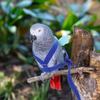 Adjustable Bird Harness Leash Set Premium Material Exquisite Sewing for Parrot Training Pet Bird Safety Gear